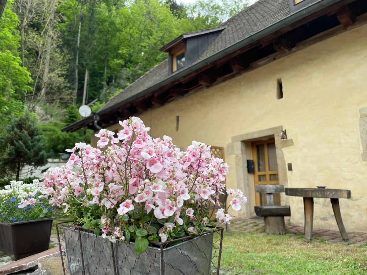 Bed & Breakfast Muellers Klostermuehle Münstertal Exterior foto